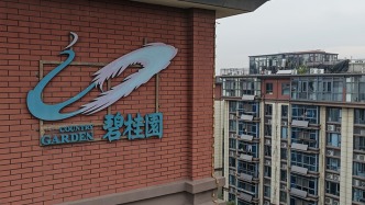 碧桂园拟对旗下9只境内债进行回购,总额上限为4.5亿元