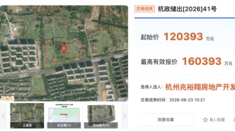 杭州两宗低密宅地28.34亿元成交