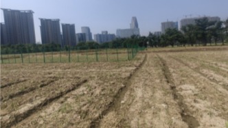 保利发展46.05亿元竞得杭州萧山世纪城宅地